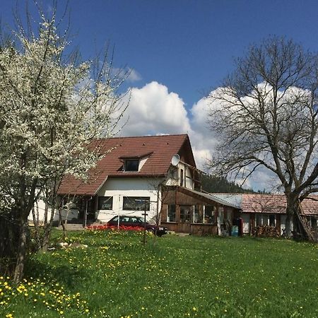 Lunca de Sus Karacsony Guest House מראה חיצוני תמונה