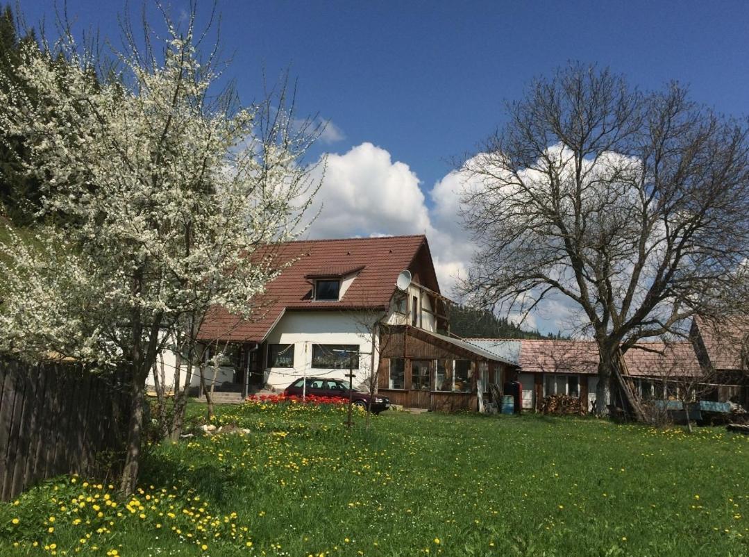Lunca de Sus Karacsony Guest House מראה חיצוני תמונה